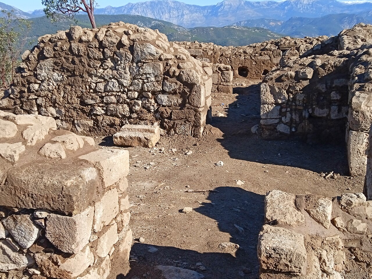 alanya syedra